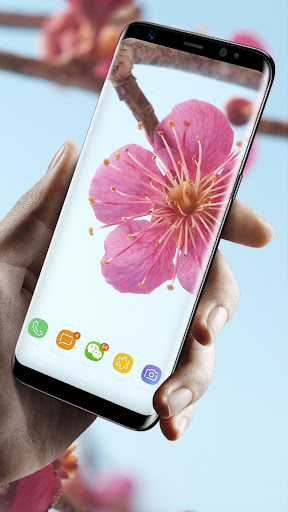 Android application Sakura Flower Live Wallpaper screenshort