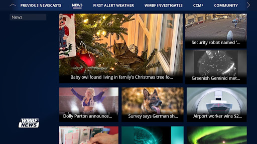 Screenshot of WMBF News