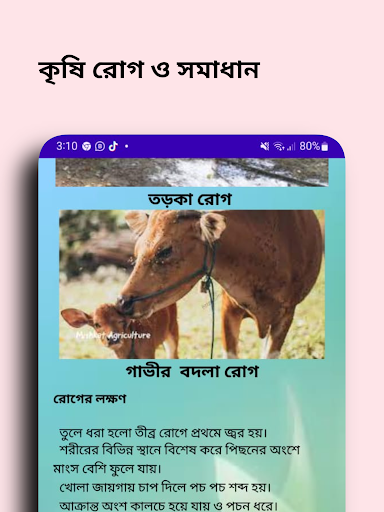কৃষি রোগ ও সমাধান Screen 3