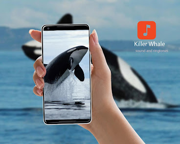 Killer Whale Sounds 1.0.4 APK + Mod (Unlimited money) untuk android