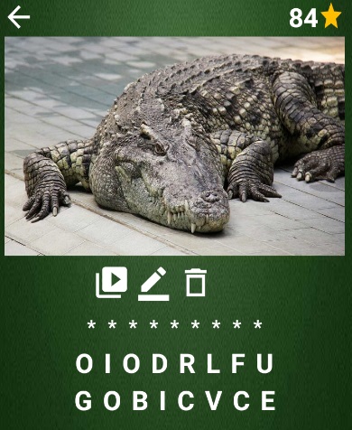 Adivina el Animal Screen 3