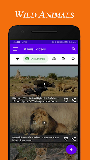 Download All Animals Videos Free for Android - All Animals Videos APK  Download 
