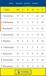 Ne Kadar Fenerlisin?