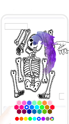 Skeleton Anatomy Coloring Book