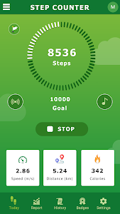 Go Steps - Pedometer app Unknown