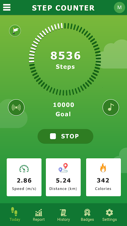 Go Steps - Pedometer app - 1.93 - (Android)