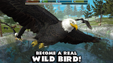 Ultimate Bird Simulatorのおすすめ画像1
