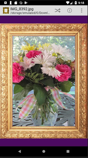 Framed Image Viewer Exercise Screen 3