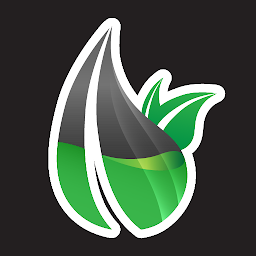 Minnoco Rewards: Download & Review
