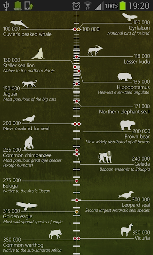 Animal Populations