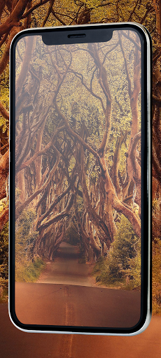 Free wallpaper design for Xiaomi Note9 pro Redmi