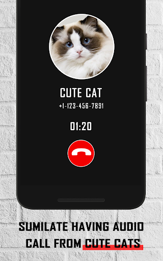 Cat fake video call prank Screen 3
