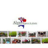 Algro Flower Shop icon