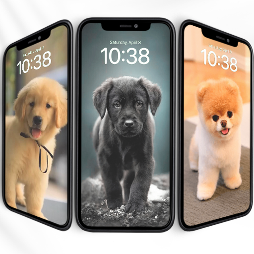 Puppy Dog Wallpaper HD Download on Windows