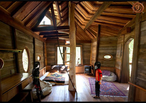 unpaid thief 5 pirates