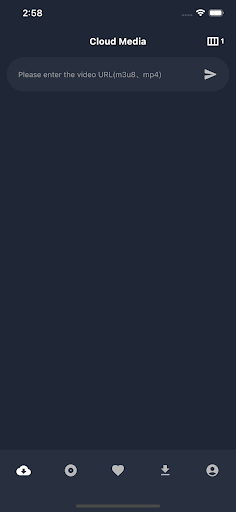 Video Downloader|Space Player Screen 2