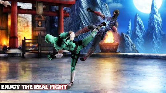 Ninja KungFu Fighting Champion
