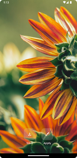 WallDrop - Unique Wallpapers