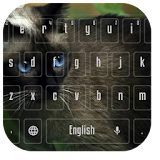 Black Cat Cute Keyboard icon