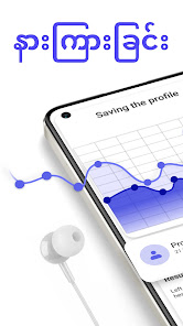 ဖန်သားပြင်ပုံ