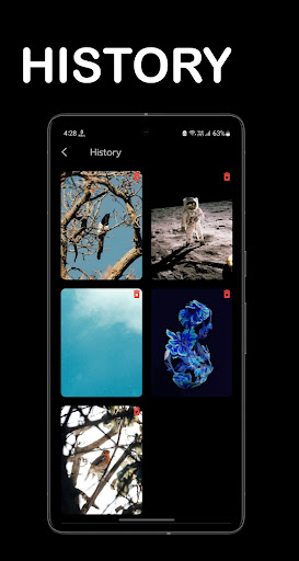 WallinationWallpaper that WoW