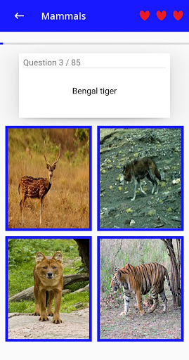 Animal Kingdom  India - Quiz/Trivia