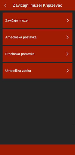 Zavičajni Muzej Knjaževac Screen 2