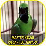 Master Kicau Cucak Ijo Jawara icon