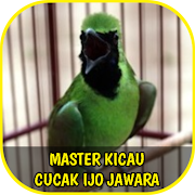 Master Kicau Cucak Ijo Jawara  Icon