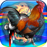 Rooster Sound Free icon