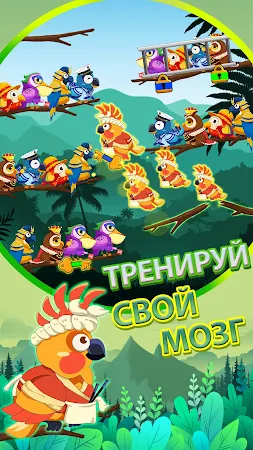 Game screenshot Сортировка птиц 2 apk download