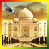 Taj Mahal Birds Live Wallpaper icon