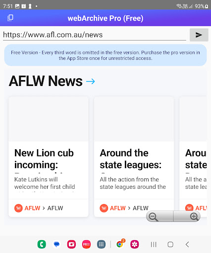 webArchive Pro Screen 3