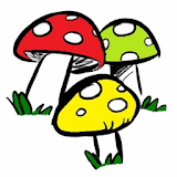 Guía de hongos y setas icon