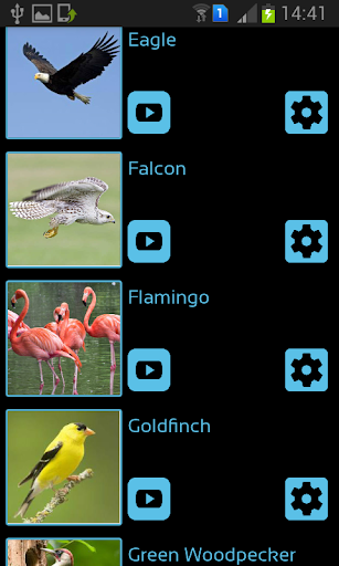 Bird Sounds & Ringtones Screen 2