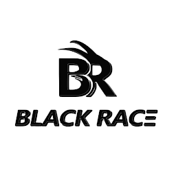 Black Race: Download & Review