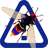 Wasp Of Dangerous icon