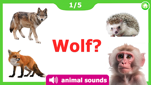 Logo https://play-lh.googleusercontent.com/CnRZbQcrFYUntmfHgVJJcd4rnCK6FJ62L03f2gU0PEafV71gyYQLd1R2C5zz6EwhZ70j