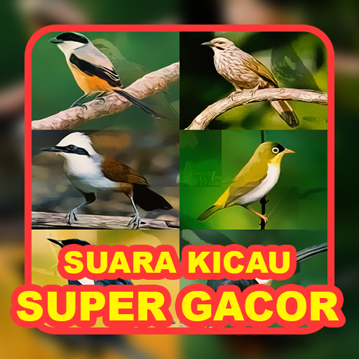 Suara Kicau Burung Gacor logo