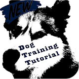 Dog Training Tutorial icon