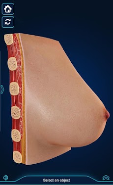 Breast Anatomy Pro.のおすすめ画像3