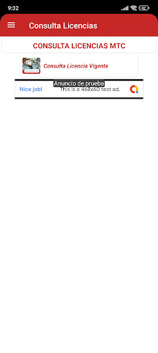 Consulta Licencias PE Screen 2