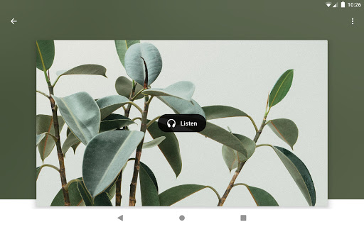 Screenshot of Focus Canada
