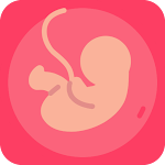 Cover Image of Скачать Gestational Age (baby's age)  APK