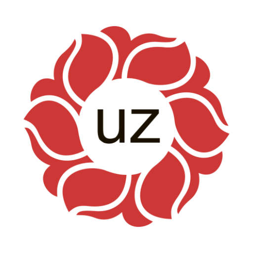 ccTLD.uz  Icon