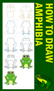 How to draw Amphibians