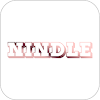 NINDLE Magazine icon