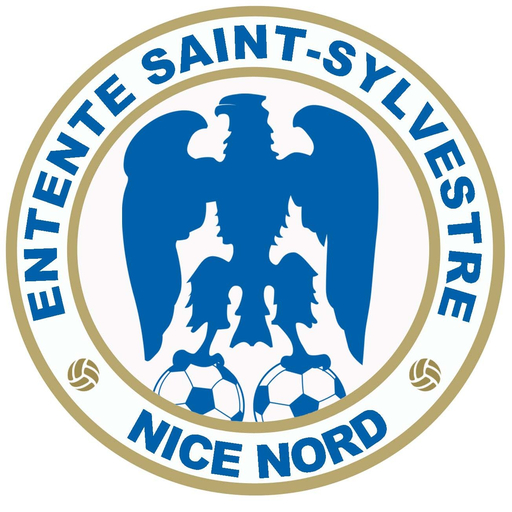 ESSNN logo