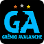 Grêmio Avalanche - Notícias