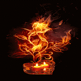 Candle Fiery Flower LWP icon